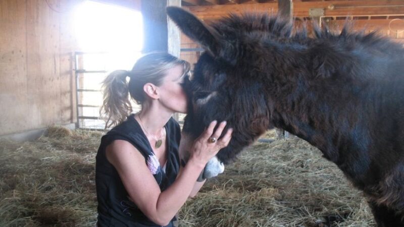 Planting Seeds of Compassion: In the Words of Colleen Patrick-Goudreau