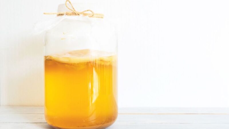 How to Make Kombucha (Part I)