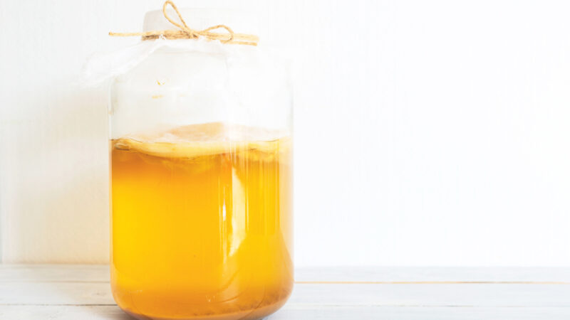 Kombucha Questions Answered (Part II)